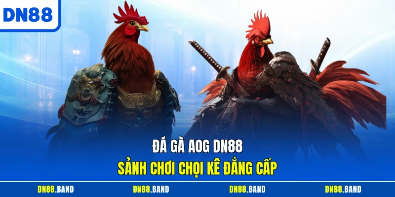 Đá gà AOG DN88 sảnh chơi chọi kê đẳng cấp