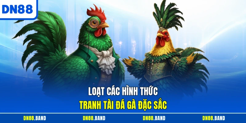 Loạt các hình thức tranh tài đá gà đặc sắc