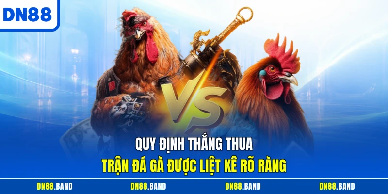 Quy định thắng thua trận đá gà được liệt kê rõ ràng